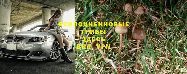 герыч Алексин