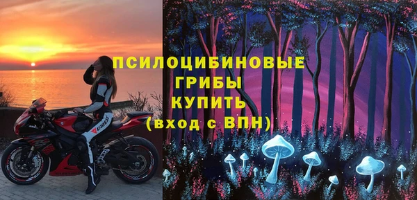 Альфа ПВП Алзамай