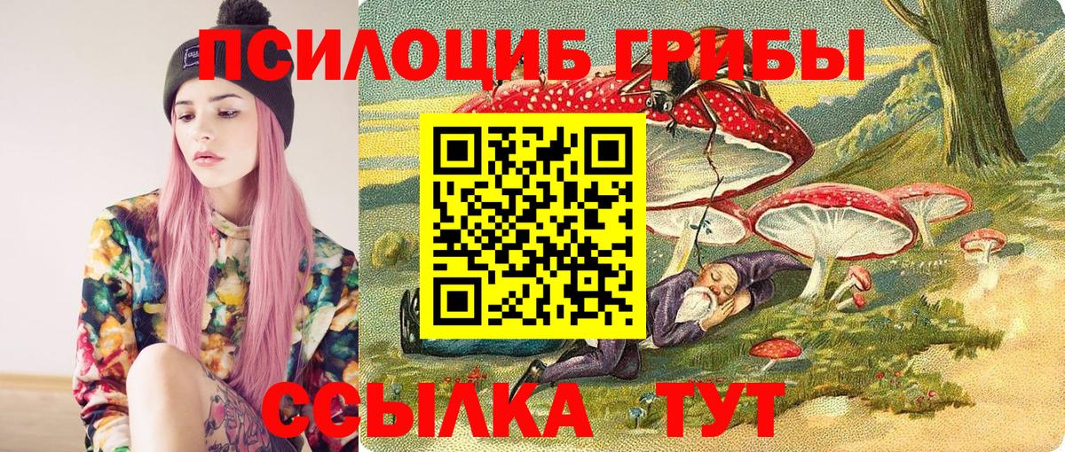 Галлюциногенные грибы Psilocybine cubensis  Вход с VPN  Воткинск 